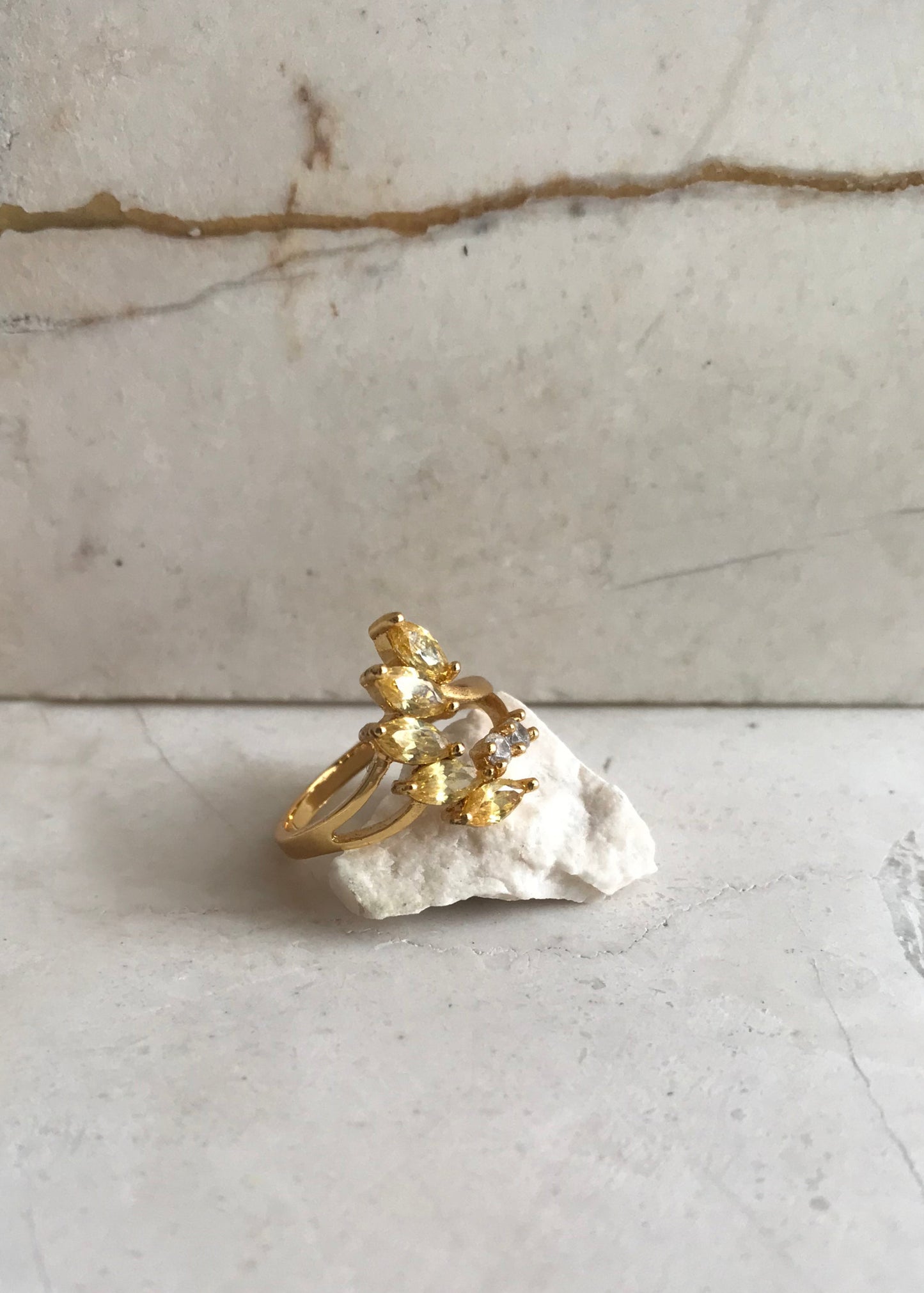 Ring of Paradise